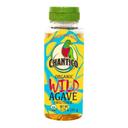 Chantico Organic Wild Agave Syrup, 11.75 Ounce -- 6 per case