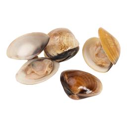 Product thumb gallery 1447703