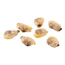 Pana Pesca Baby Clam Meat in Natural Juice, 1 Pound -- 10 per case.