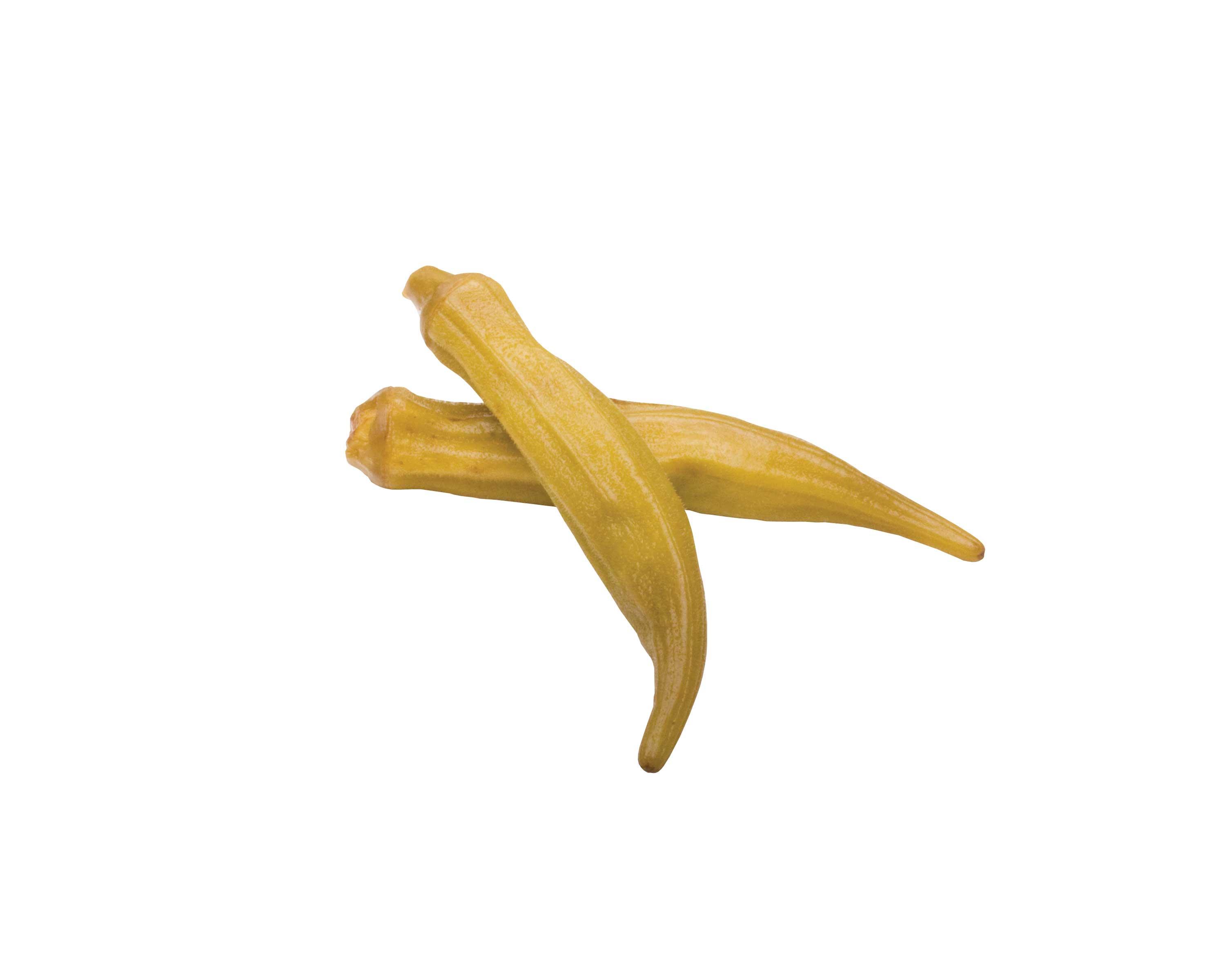 Product gallery 1367061