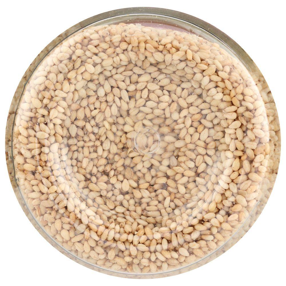 Product gallery 4155369