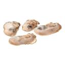 Prestige Wild Caught Standards Oyster Meat - Pillowpack, 6 Pound -- 6 per case