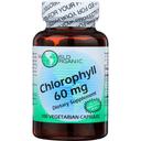 World Organic 60 Mg Chlorophyll Vegetarian Capsules, 100 count