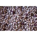 Rancho Gordo Cranberry Bean, 16 Ounce -- 12 per case