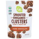 Go Raw Organic Dark Chocolate Coconut and Sprouted Seeds Clusters, 3 Ounce -- 6 per case