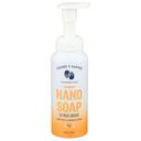 Hand in Hand Citrus Grove Foaming Hand Soap, 8.5 Fluid Ounce -- 3 per case