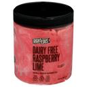 Righteous Dairy Free Raspberry Lime Sorbetto, 16 Ounce -- 8 per case