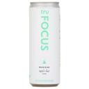 Tru Focus Apple Kiwi Ready to Drink, 12 Fluid Ounce -- 12 per case