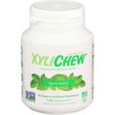 Xylichew Spearmint Soft Chewing Gum, 60 count -- 4 per case