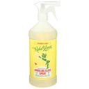 Rebel Green Peppermint and Lemon Sparkling Glass Cleaner, 32 Ounce -- 4 per case