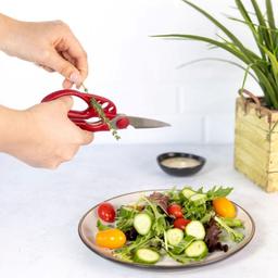 Product thumb gallery 3684725