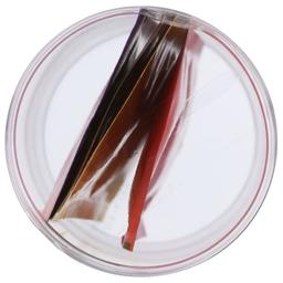 Product thumb gallery 4138104
