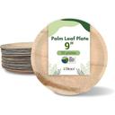 Dtocs Palm Leaf 9 inch Round Dinner Plate -- 50 per case