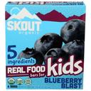 Skout Organic Blueberry Blast Real Food Bar for Kids, 5.1 Ounce -- 6 per case