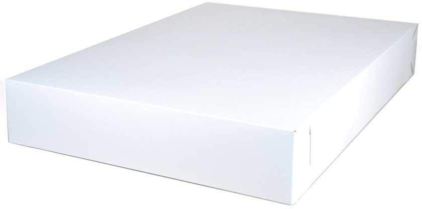 Product gallery 2488009