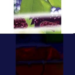 Product thumb gallery 3541574