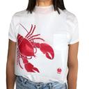 Poly King Poly Lobster Print Disposable Adult Bib, 15 x 20 inch -- 2000 per case