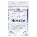 SecurIT Clear Tamper Evident Deposit Bag, 9 x 12 inch - 100 per pack -- 1 pack per case