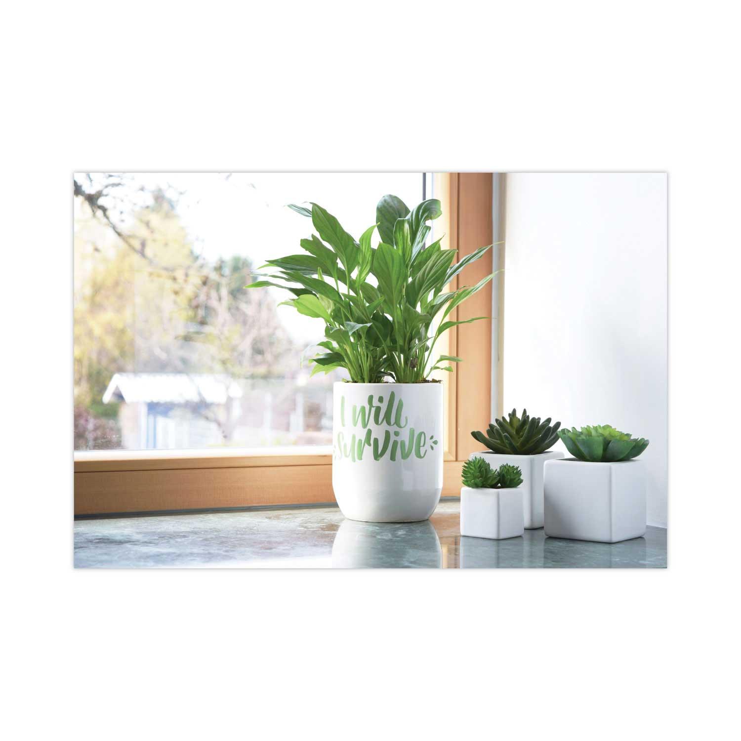 Product gallery 2628947