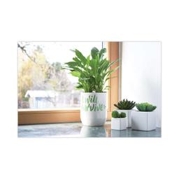 Product thumb gallery 2628977