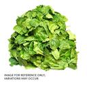 Commodity Canned Fruit and Vegetables Chopped Spinach, 10 Pound Can -- 6 per case