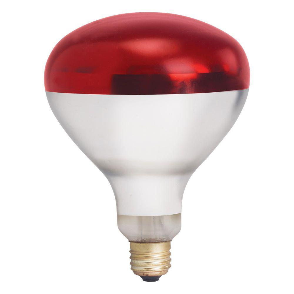 Product gallery 168310988