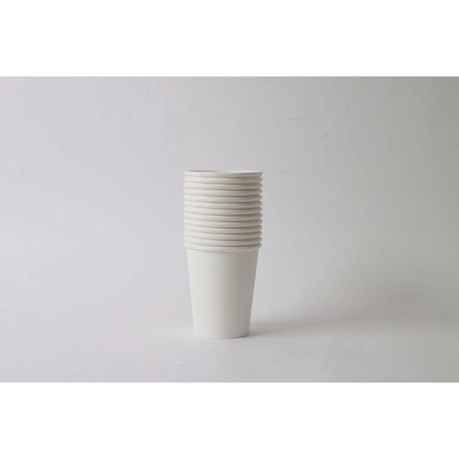 Product gallery 845097096
