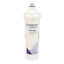 EVE300-05828 Optipure CTO-Q10 Water Filter Cartridge