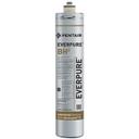 EVEEV9612-50 Hot Beverage Dispenser Water Filter Cartridge with Scale Inhibitor