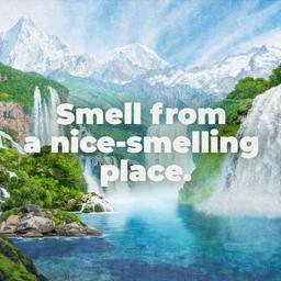 Product thumb gallery 818391712