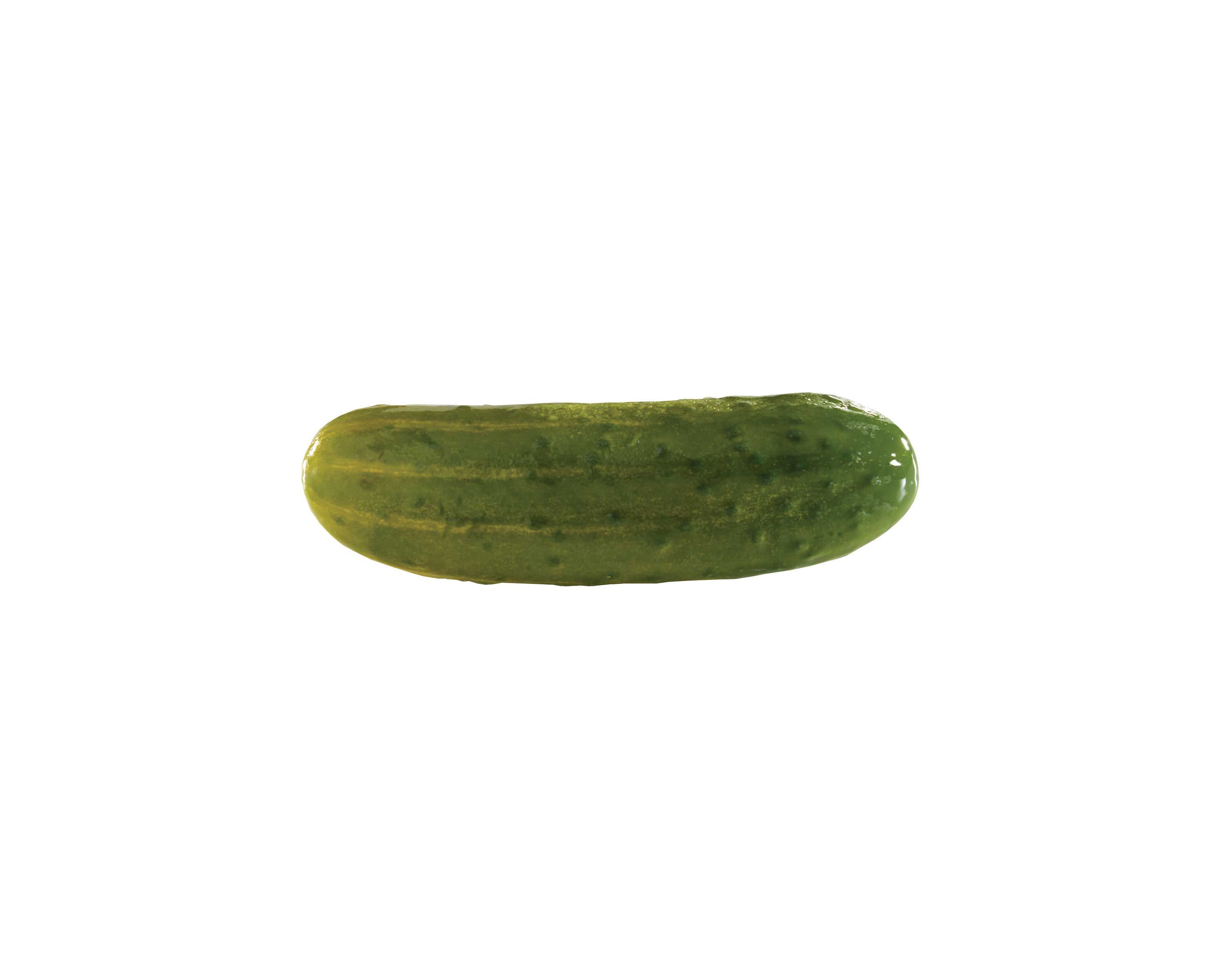 Schwartz's 717 Kosher Whole Dill Pickle, 2 Gallon