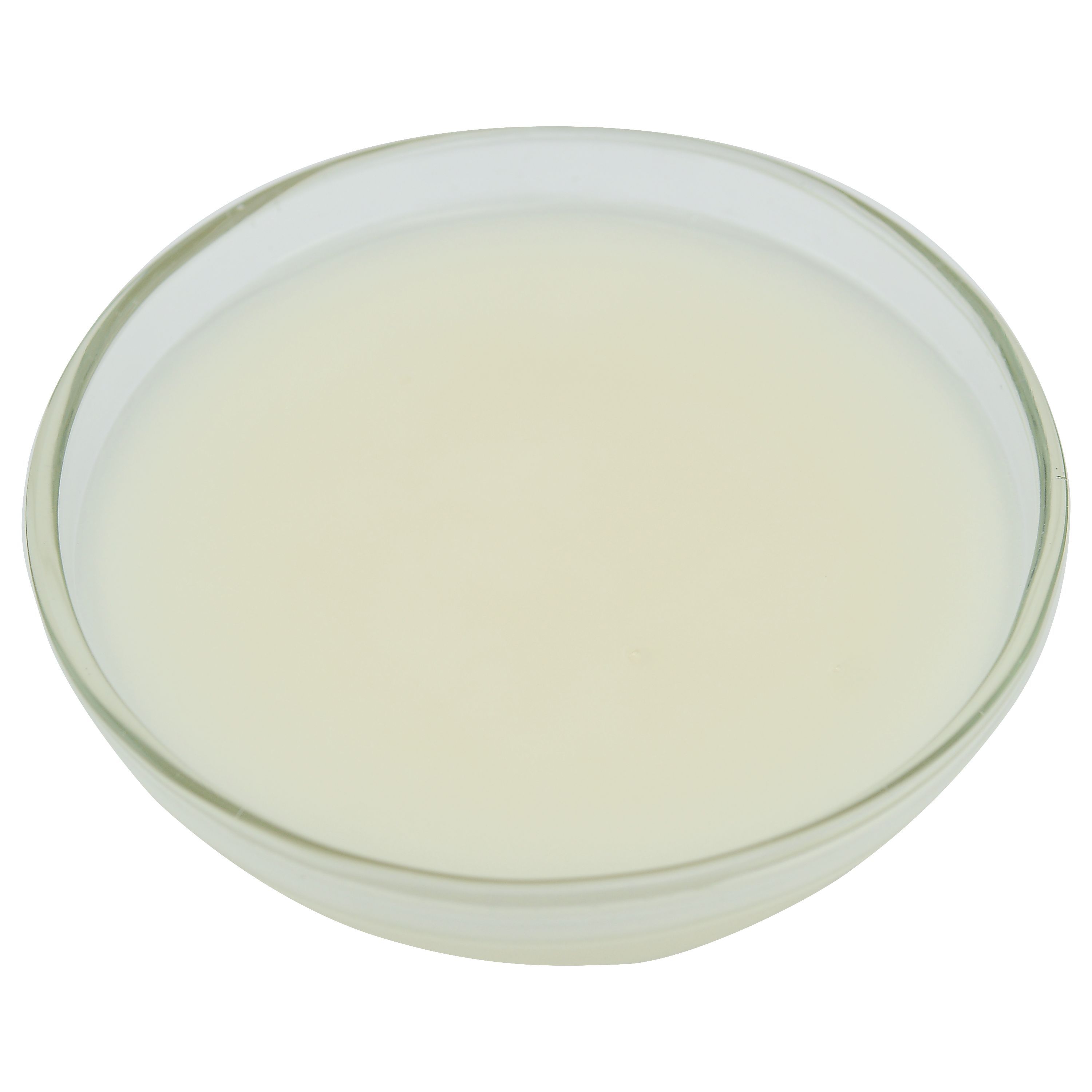 Brill Glaze N Shine, 23 Pound