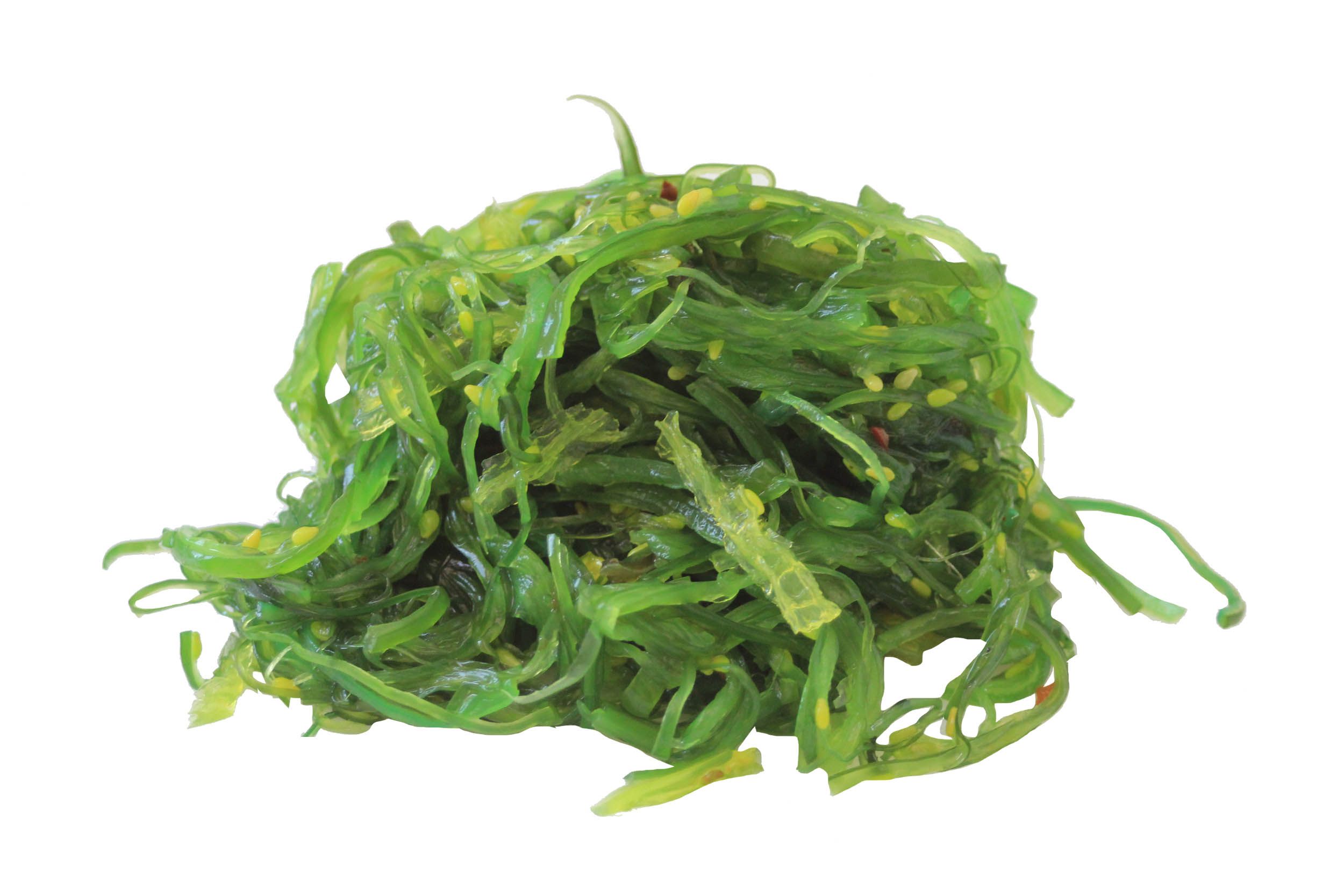 Packers Hiyashi Wakame Seaweed Salad, 4.4 Pound -- 6 Per Case