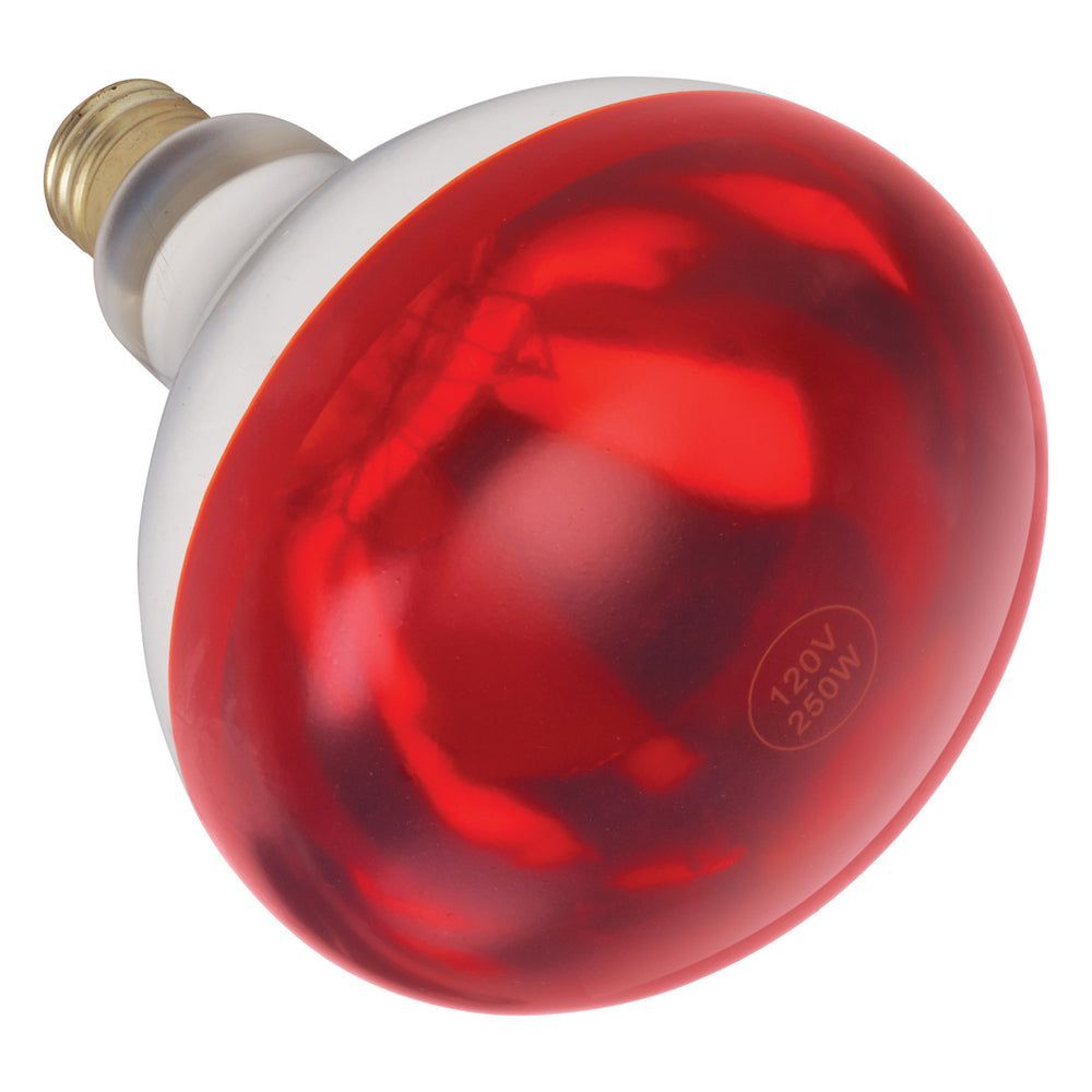 Winco Red 250w Infrared Shatter-resistant Bulb For Ehl-2 Heat Lamp Set -- 12 Per Case