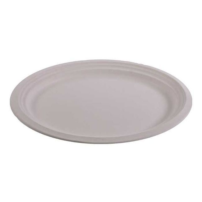 Kitch 24/7 Assiette Jetable Ovale En Fibre Moulée Blanche, 12,5 X 10 Po -- 500 Par Boîte