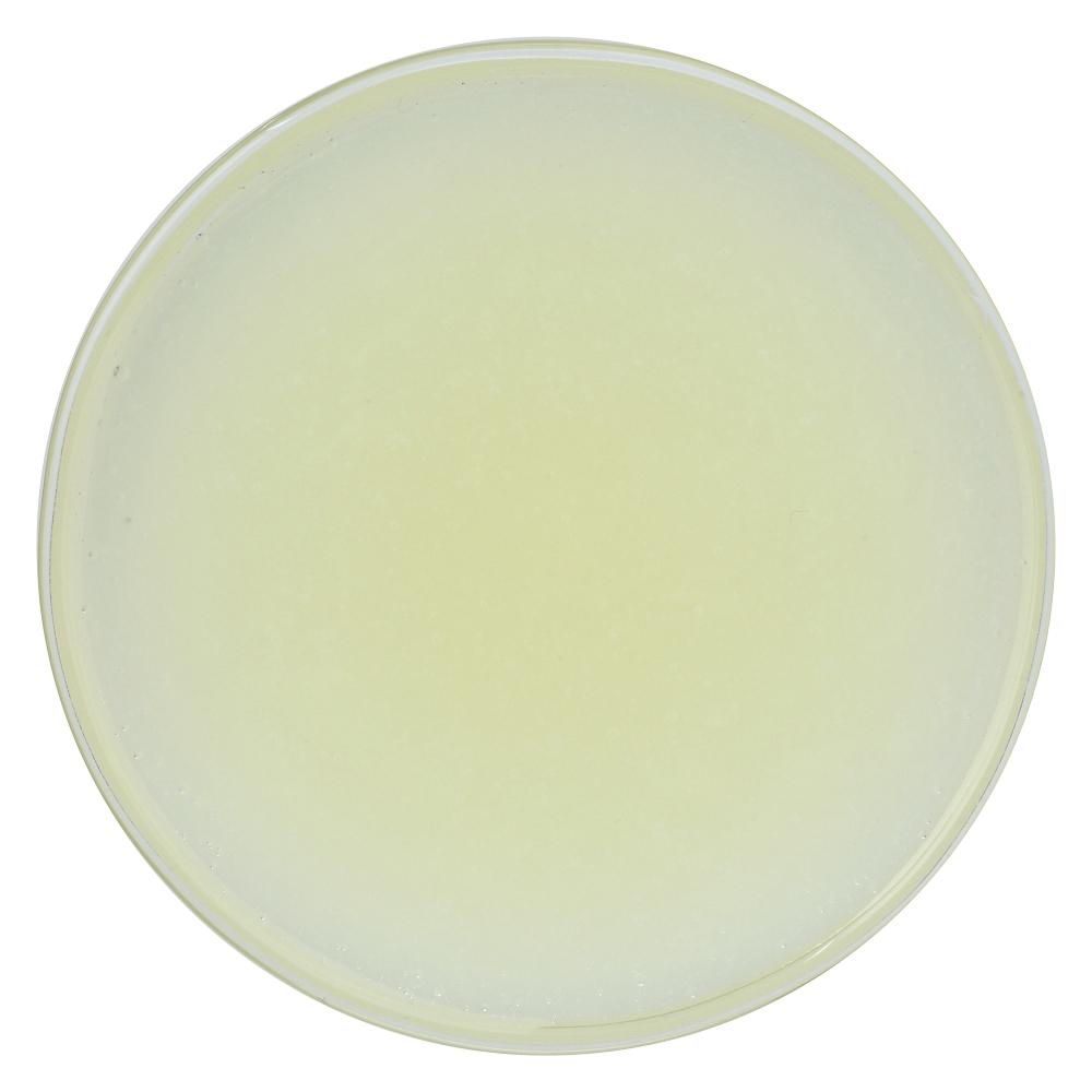 Product gallery 2909788