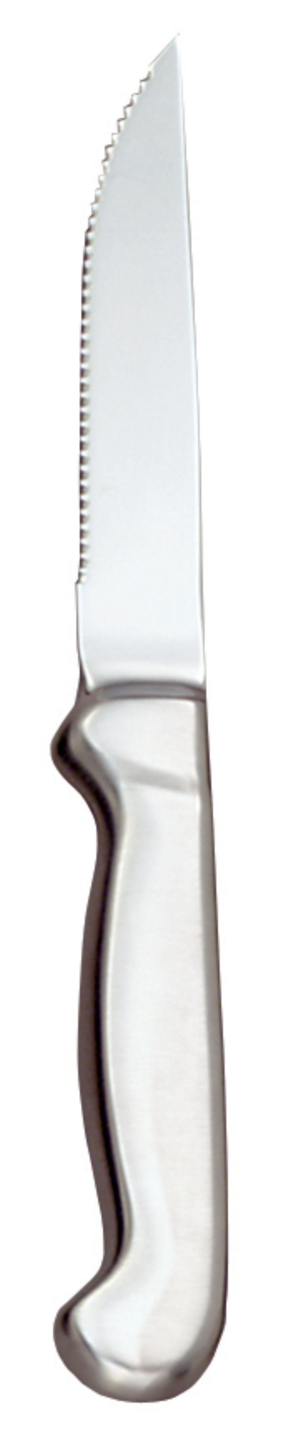 World Tableware Slim Radiant Steak Knife, 9 1/4 Inch Length -- 12 Per Case
