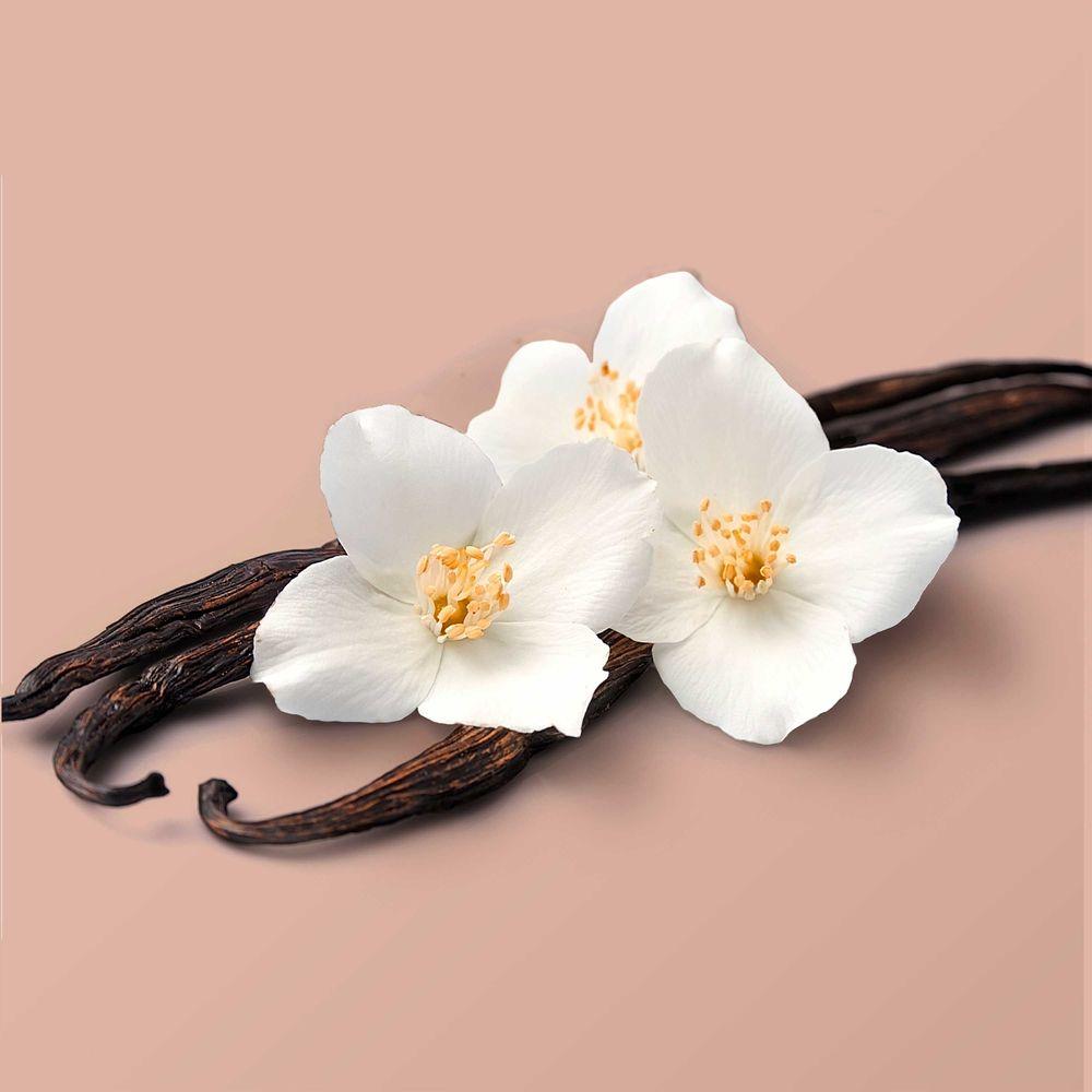 Product gallery 122744877