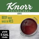 Knorr Professional 095 Beef Stock Base, 1 pound -- 12 per case