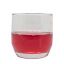 Lyons ReadyCare Apple Cranberry Clear Protein Drink, 4 Ounce -- 48 per case