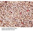 Commodity Beans Triple Clean Pinto Bean, 50 Pound