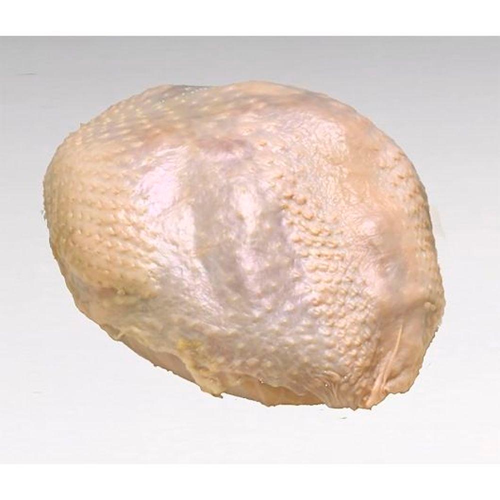 Product gallery 829608503