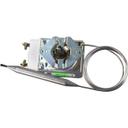 RX Type Thermostat for AllPoints Part Number 461342